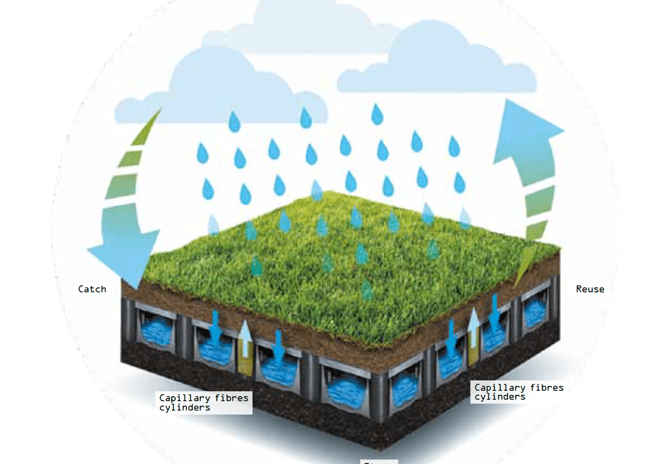 Designing Blue-Green Connected Roofs for Resilient Cities